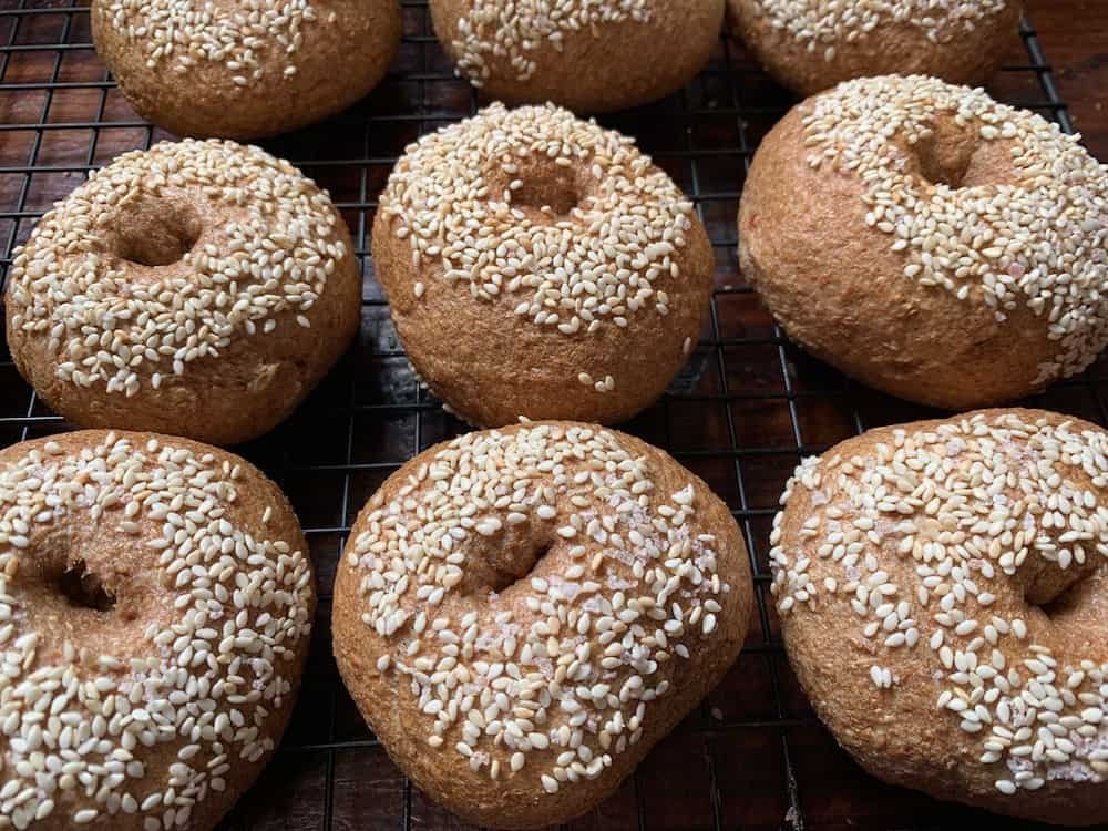Photo of whole wheat sourdough bagels
