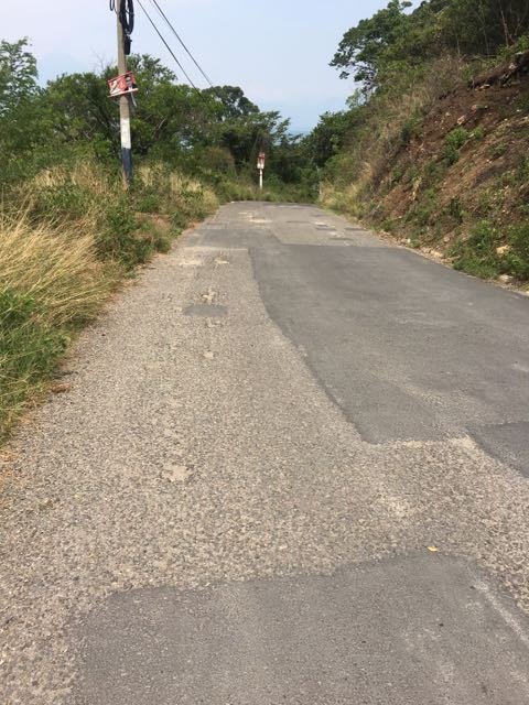 The road on my walk