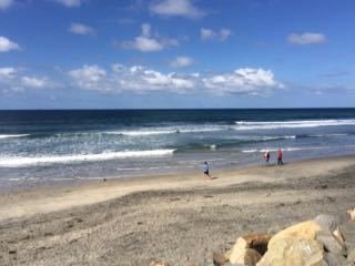 Torrey Pines State Beach