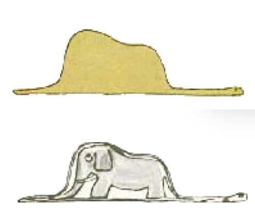 boaelephant