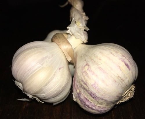 garlic from the Panajachel market