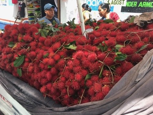 pickup truck full of rambutan