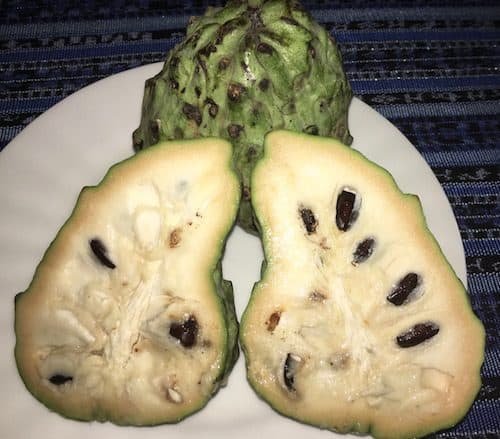annona