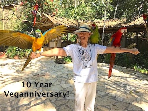 Traci at Macaw Mountain