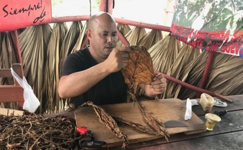 https://singingvegan.com/cuba-day-trip-to-vinales/