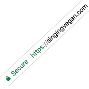 Secure website image