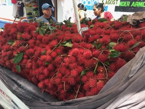 pickup truck full of rambutan